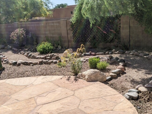 Back Yard - 2371 E Stone Stable Dr