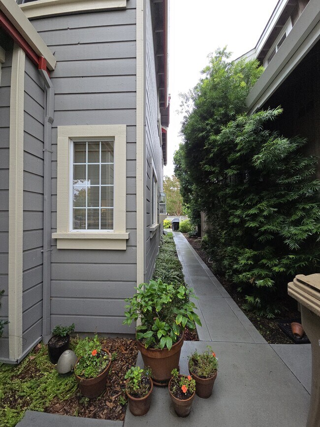 Building Photo - 10 Gregory Pl