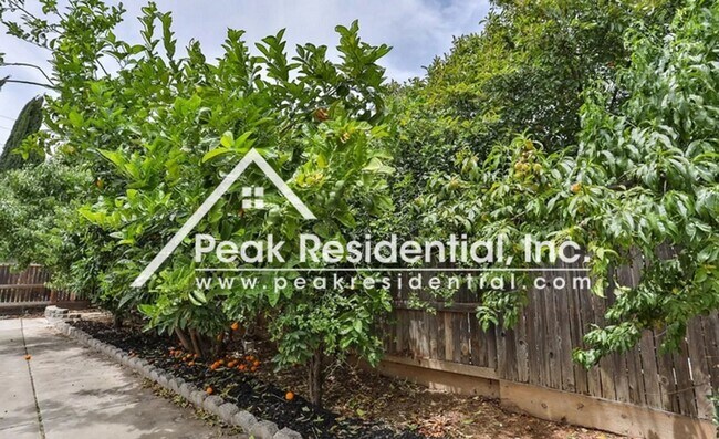 Building Photo - Spacious Elk Grove 4bd/2ba Home with 2 Car...