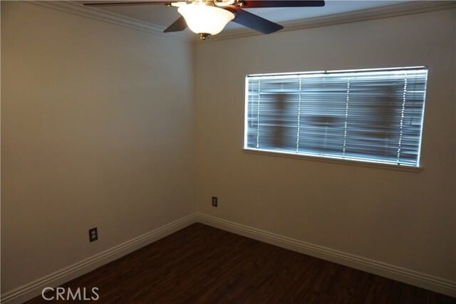 Building Photo - 1710 Maxwell Ln