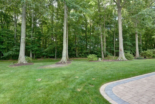 Building Photo - Renovated and Updated Woods of Tabb Home