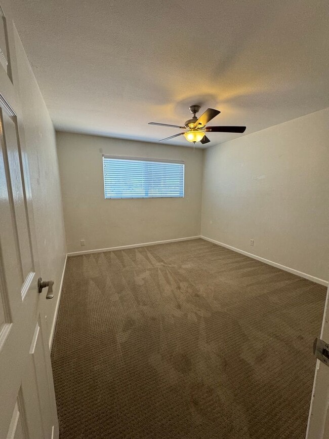Building Photo - Single Story 4 bedroom Scottsdale Home