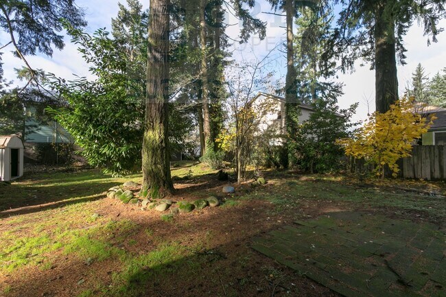 Building Photo - Spacious 3 Bedroom Home Available on Fores...