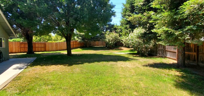 Rear Yard - 5031 Moss Creek Cir