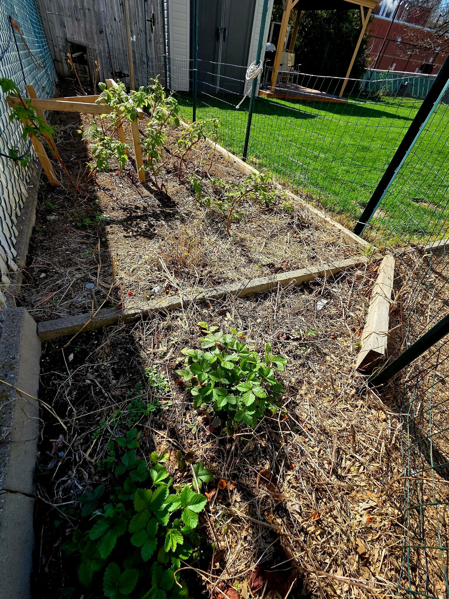 Building Photo - 223 Ray St