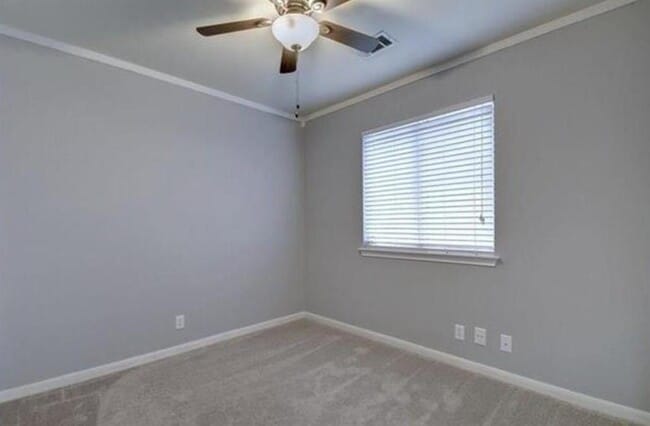 Building Photo - 351 Zebra Dr