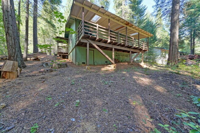 Building Photo - Darling 2-bedroom cabin in the woods!