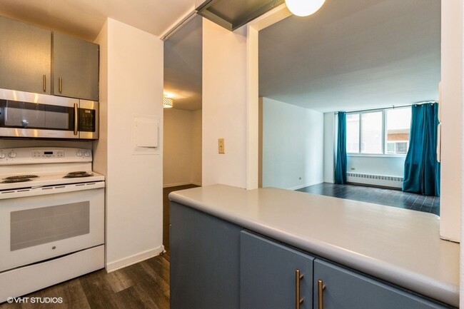 Building Photo - Large 1 Bed/Bath Evanston Condo with TWO P...