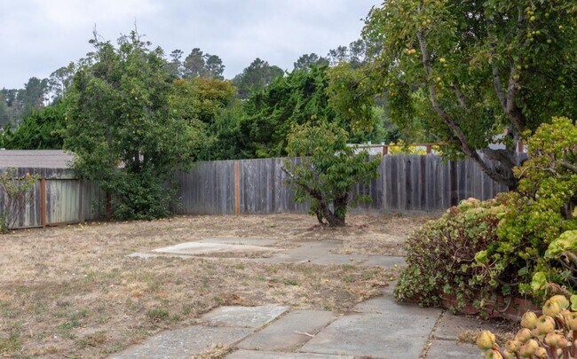 Building Photo - 1651 Rosita Rd