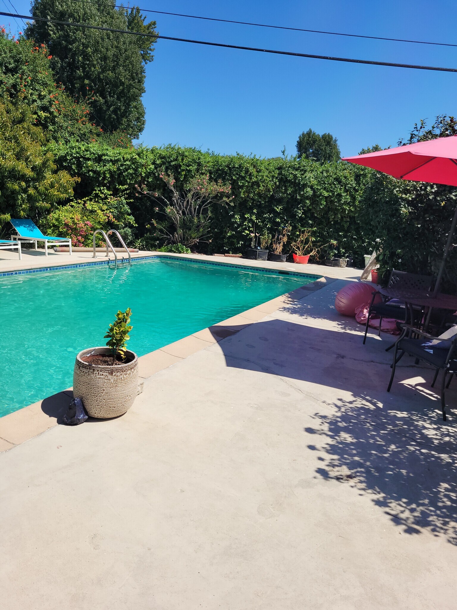 Pool with private backyard - 4734 Allott Ave