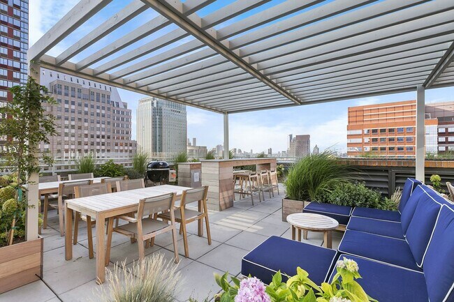 Roof Deck BBQ Grilling Area - 365 Bridge St