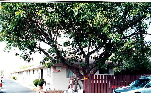 Building Photo - 2569 Alvarado St