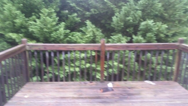 Building Photo - 8083 Colton Creek Way