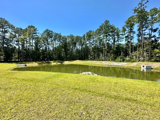 Building Photo - 8710 Silver Perch Ln