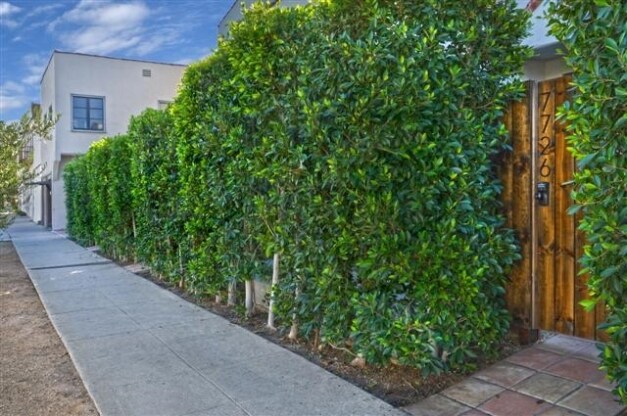 Building Photo - 7714-7722 Rosewood Ave