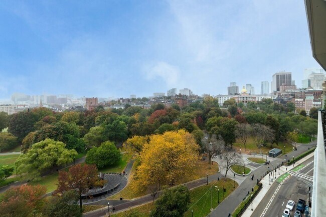 Building Photo - 151 Tremont St