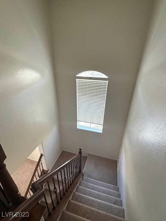 Building Photo - 1541 Mt Noble Ct