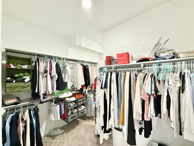 Building Photo - 923 Palo Brea Lp