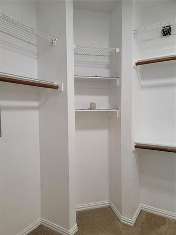 Building Photo - 1404 Hummingbird Ct