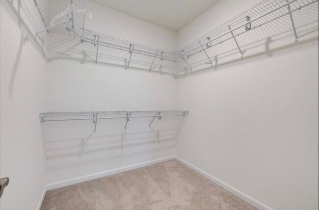 Building Photo - 58 Brushed Dunes Cir