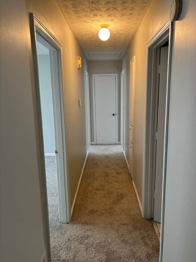 Building Photo - New On the Market!