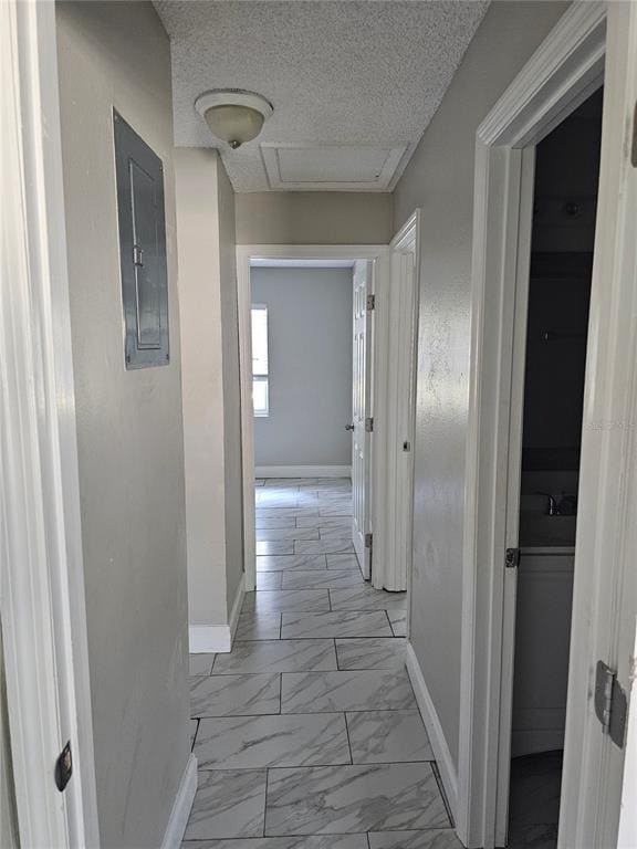 Building Photo - 1013 BEECHER St