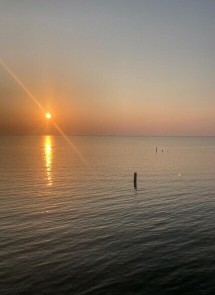 Building Photo - 11520 Council Ln