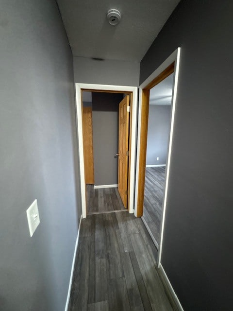 Building Photo - 2003 E Florida Ave