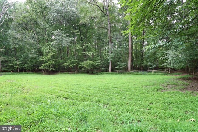 Building Photo - 11800 Wolf Run Ln