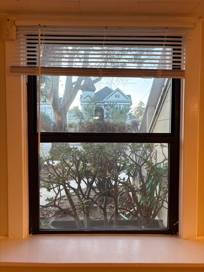 Main Room Window View - 1534 Benton St