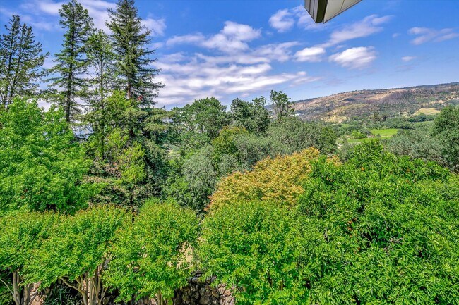 Building Photo - Welcome to Your Luxurious Napa Valley Retr...