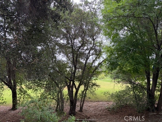 Building Photo - 4732 Park Granada