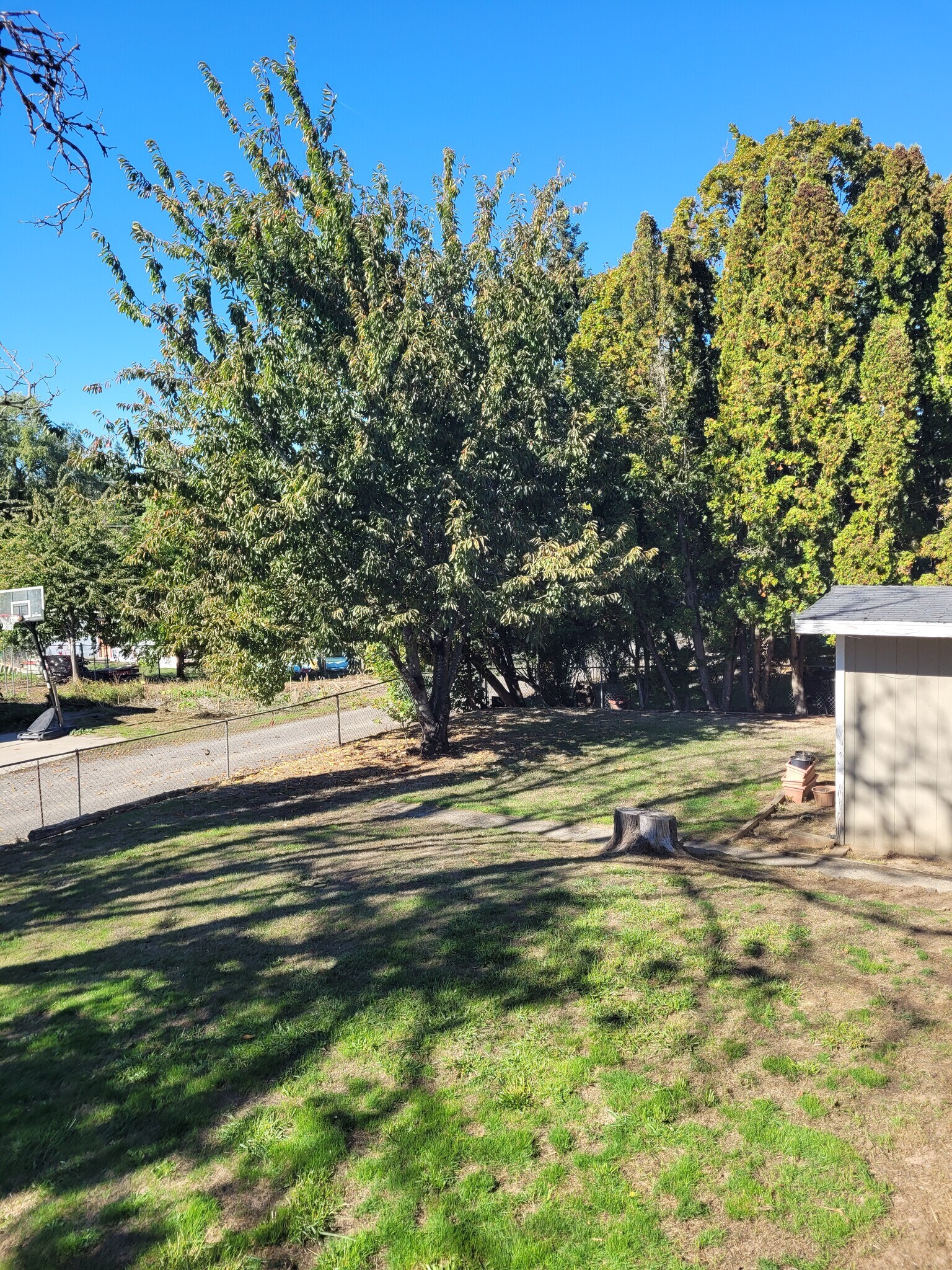 view from deck - 5095 SW 163rd Ave