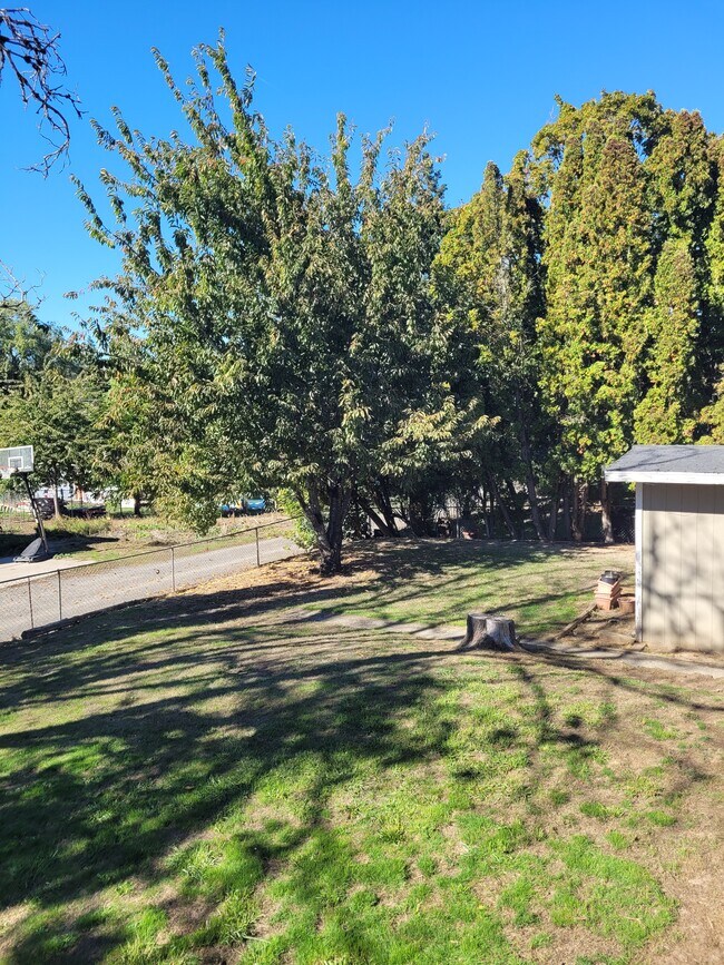 view from deck - 5095 SW 163rd Ave