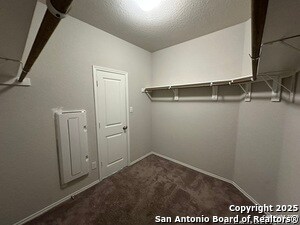 Building Photo - 3826 Carducci Dr