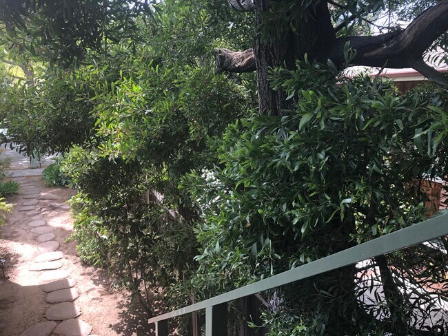 Building Photo - 965 Cowper St