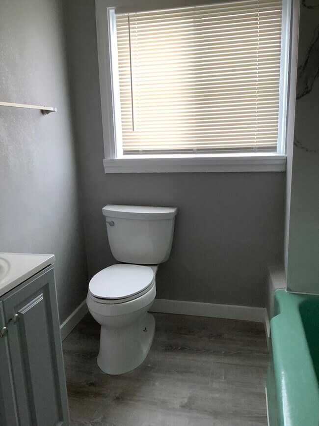 Building Photo - Completely Renovated 3 Bedroom Downstairs Unit! $2,995