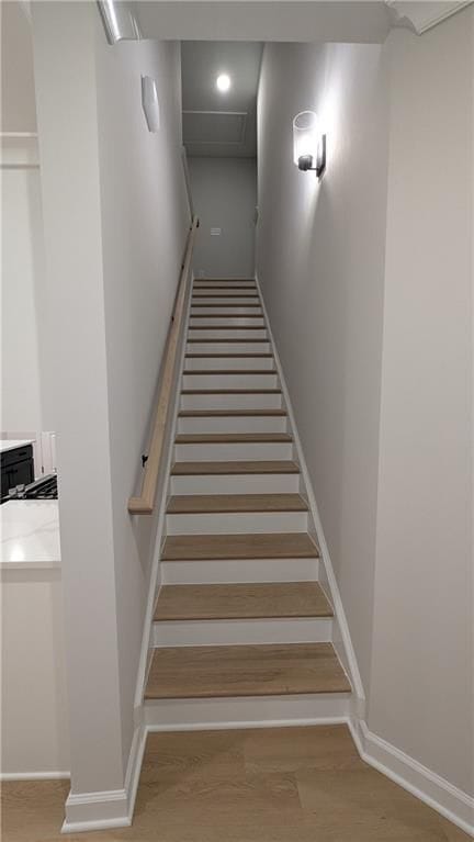 Building Photo - 435 Carrera Ln