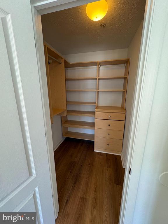 Building Photo - 4008 Enders Ln