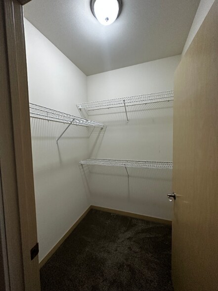 Building Photo - 3036 Triumph Dr