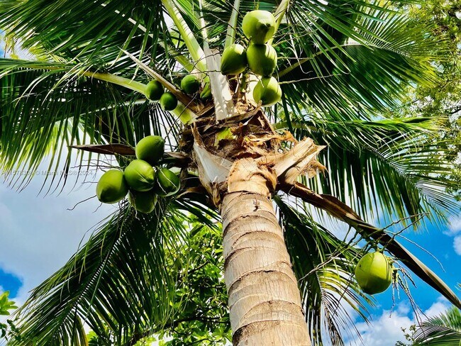 Building Photo - 18320 NE 7th Ct