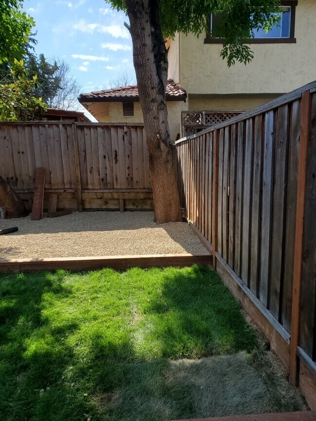 Backyard - 627 Timberpine Ave