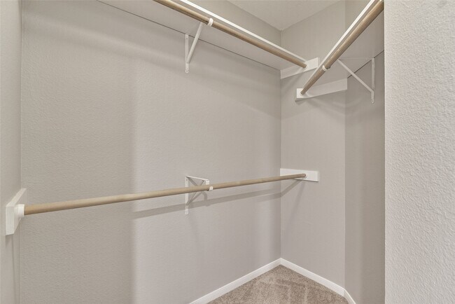 Building Photo - 25 Scarlet Woods Ct