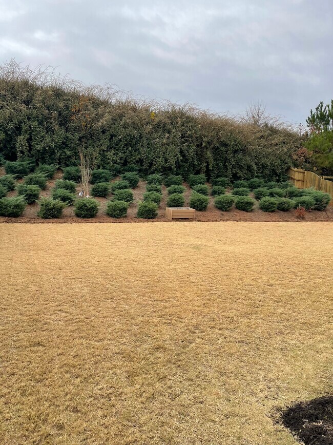 Building Photo - 5320 Austrian Pine Ct