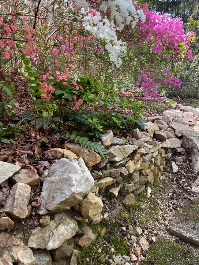 Building Photo - 6662 Van Winkle Dr