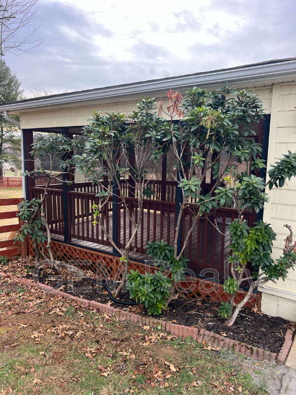 Building Photo - 1244 Mountain View Rd