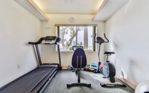 Shared Gym - 711 N Halifax Ave