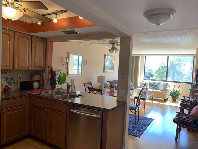 Open updated kitchen - 6219 Palma Del Mar Blvd S