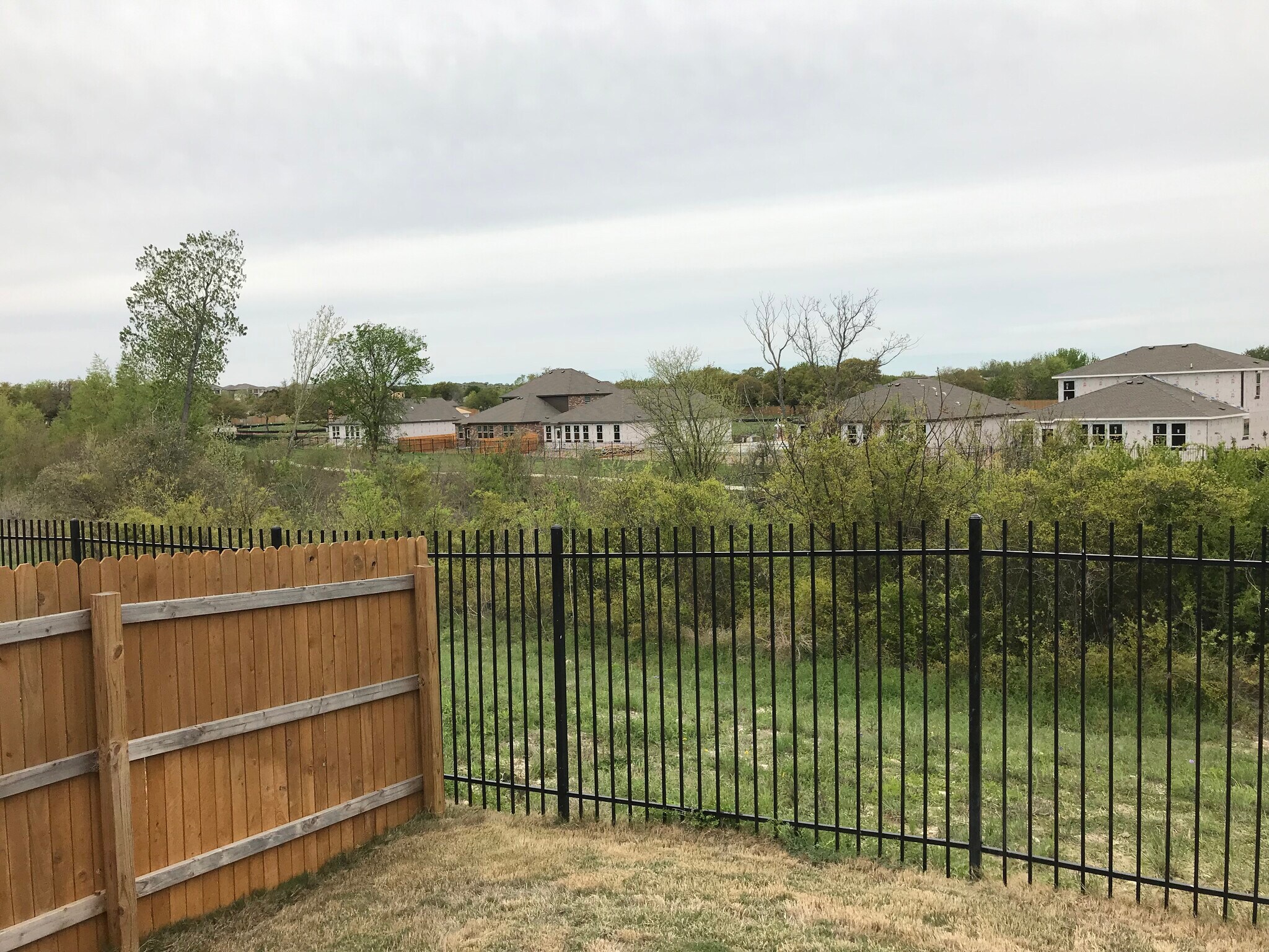 View of the green belt directly behind the house. Neighbors are in the distance on the other side. - 1313 Eagle Ridge Trl
