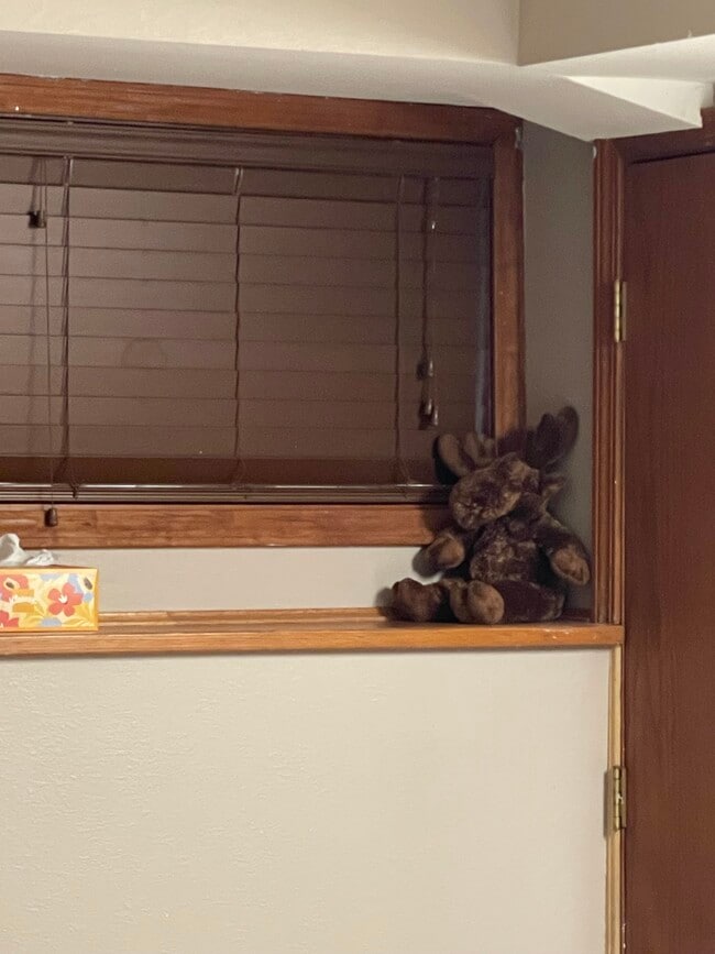 Building Photo - “A Slice Of Moose Paradise”